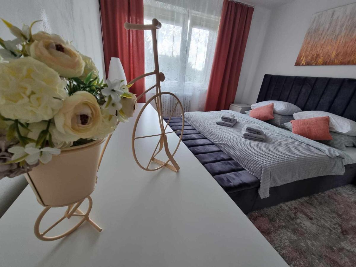 Prostorny Byt V Centru U Reky, 2 Loznice, Balkon Hradec Kralove Exterior foto